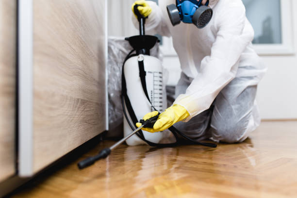 Best Pest Control Treatment  in Point Pleasant, WV