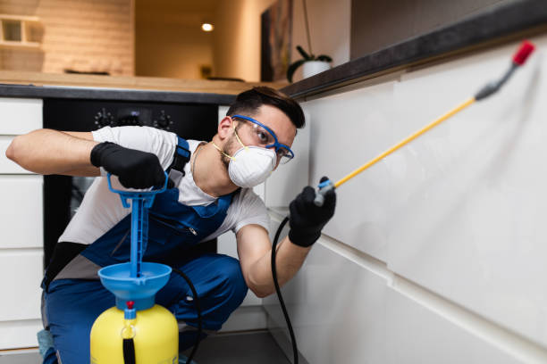 Best Emergency Pest Control  in Point Pleasant, WV