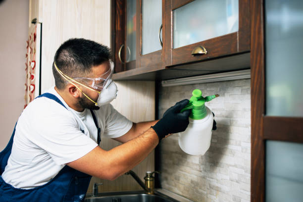 Best Local Pest Control Services  in Point Pleasant, WV