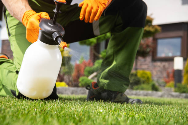 Best Commercial Pest Control Services  in Point Pleasant, WV
