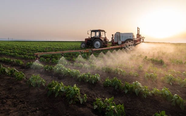 Best Mosquito Control Services  in Point Pleasant, WV
