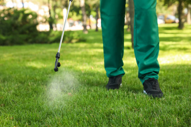 Best Affordable Pest Control Services  in Point Pleasant, WV