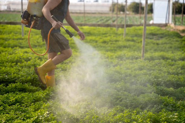 Best Pest Removal Services  in Point Pleasant, WV