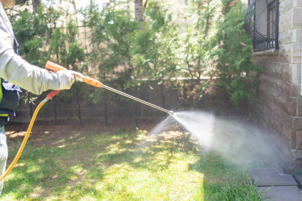 Best Spider Control Near Me  in Point Pleasant, WV