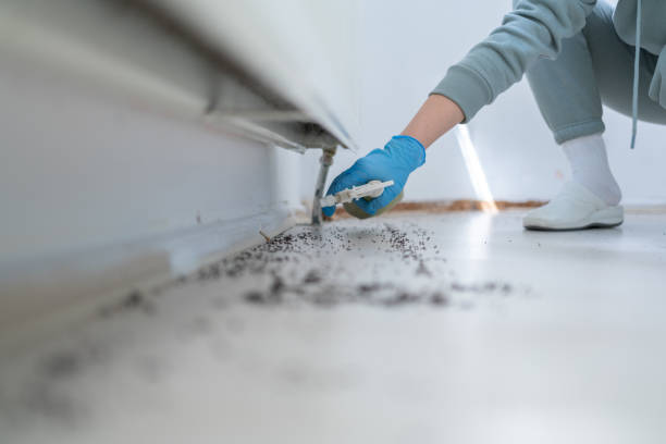 Best Pest Prevention Services  in Point Pleasant, WV